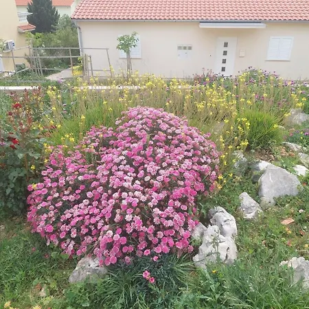 With Parking Space Barbat, Rab - 22863 *